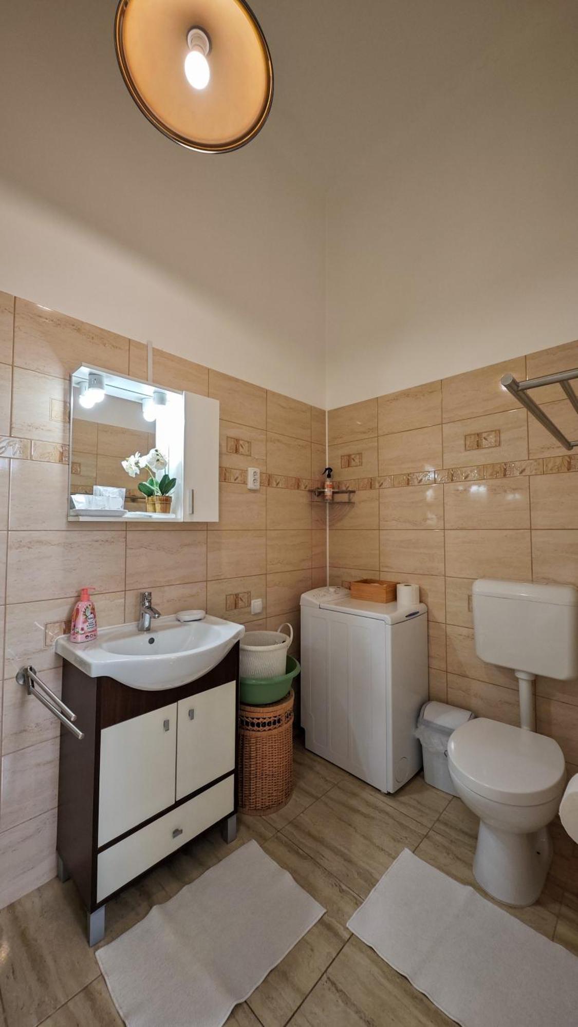 Neuhausz Residenz Ultra-Central Apartment Timisoara Exterior foto