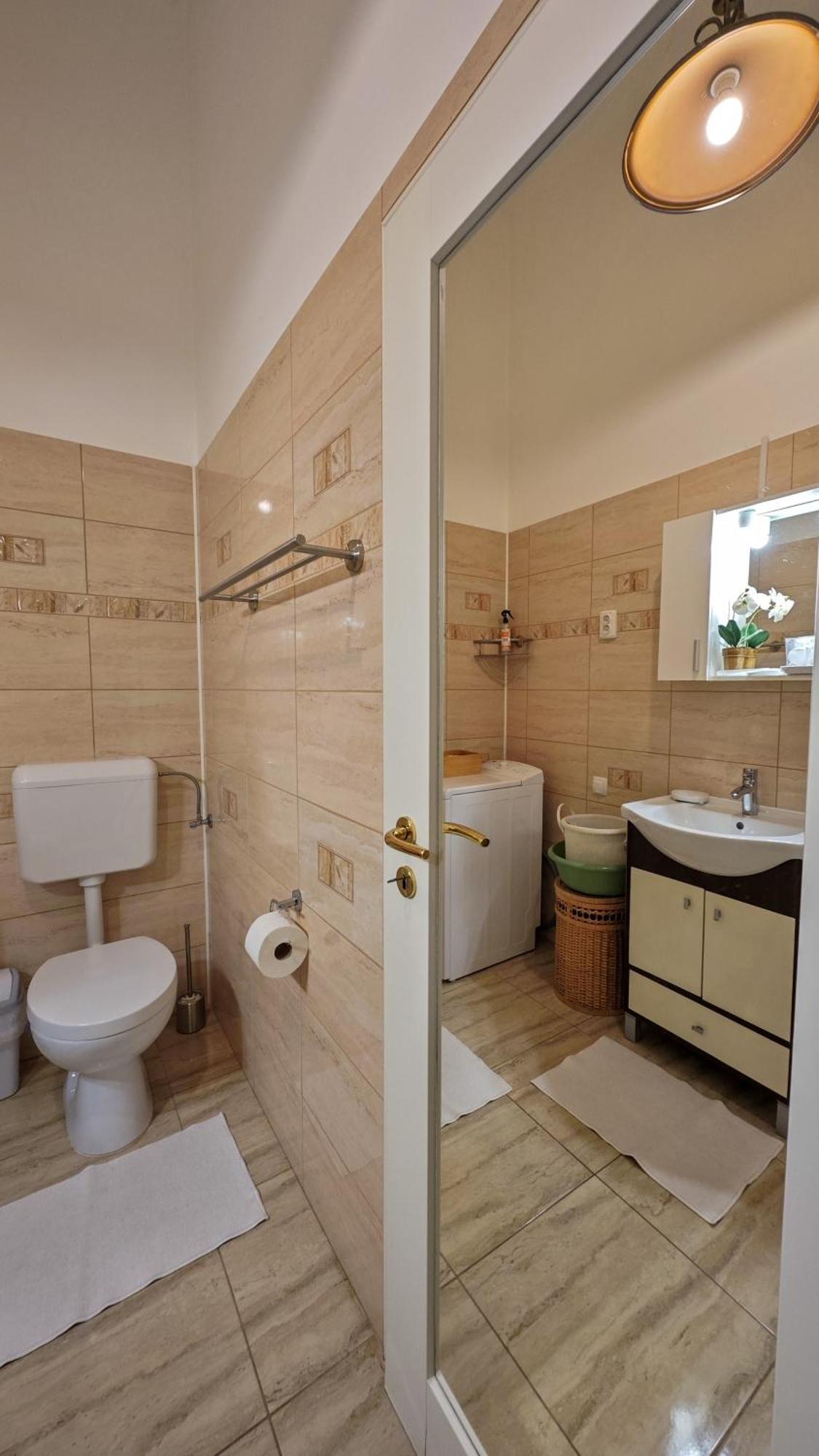 Neuhausz Residenz Ultra-Central Apartment Timisoara Exterior foto